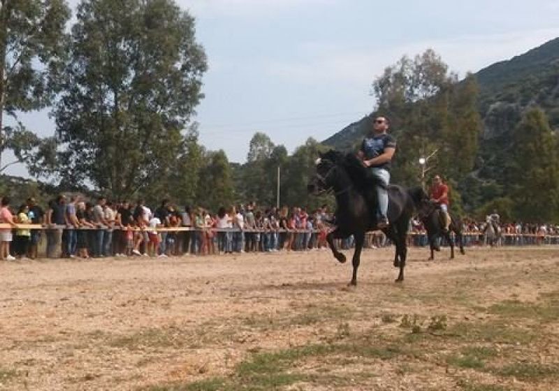 ΒΟΝΙΤΣΑ: Με μεγάλη επιτυχία οι ιππικοί αγώνες (ΔΕΙΤΕ ΦΩΤΟ)