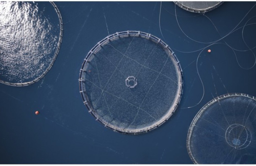 Ένωση Εργαζομένων Καταναλωτών Ελλάδας: Χωροταξική oργάνωση για την ελληνική θαλάσσια υδατοκαλλιέργεια