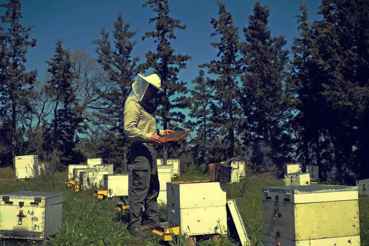 12.000.000 € ενίσχυση στους Μελισσοκόμους για την αντιμετώπιση των επιπτώσεων από την Ουκρανική κρίση