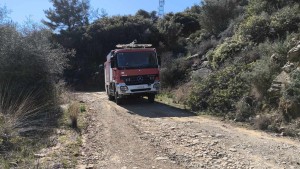 Αγρίνιο: Φωτιά σε δύσβατη έκταση στον Προφήτη Ηλία - Κάηκαν ελαιόδεντρα