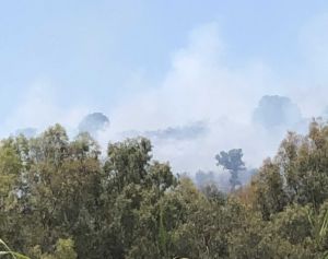 Πυρκαγιά σε εξέλιξη στο λόφο του Τρίκαρδου στην Κατοχή
