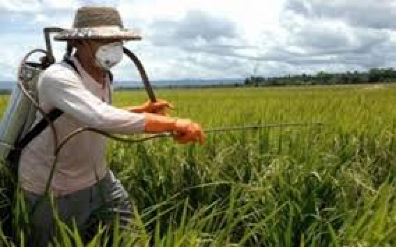 Πιστοποίηση γνώσεων ορθολογικής χρήσης φυτοφαρμάκων