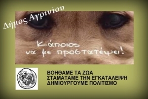 Εκδήλωση για τα αδέσποτα την Πέμπτη από το δήμο Αγρινίου
