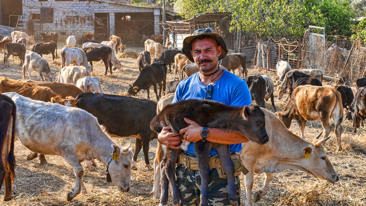 Η φάρμα του Σταύρου | Η ζωή στο χωριό (Βίντεο)