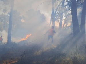 Ξηρόμερο: Μία πολύ επικίνδυνη φωτιά στο δασύλλιο Φυτειών