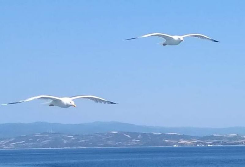 Πρόγνωση καιρού εβδομάδος 25/2 - 3/3/2019 για το Αγρίνιο....