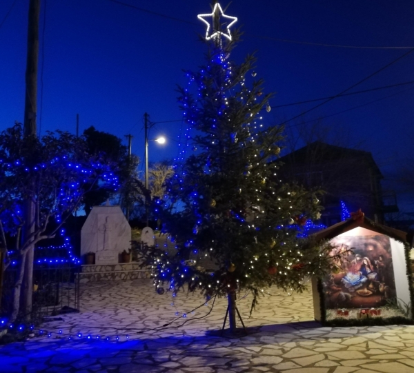 Πολιτιστικός Σύλλογος Σαργιάδας: "Στολισμός και φωταγώγηση του χριστουγεννιάτικου δέντρου"