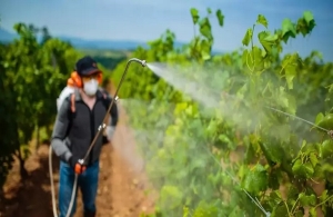 Μειώνεται η χρήση χημικών φυτοφαρμάκων στην ΕΕ