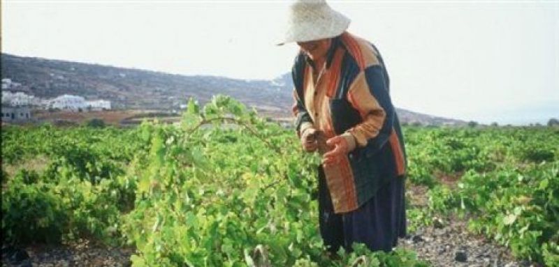 Σταμνά Μεσολογγίου: Εκδήλωση για την Ελληνίδα αγρότισσα από τη Γ. Γ. Ισότητας των Φύλων και τον Σύλ. Γυναικών Σταμνάς (Τετ 11/4/2018 18:00)