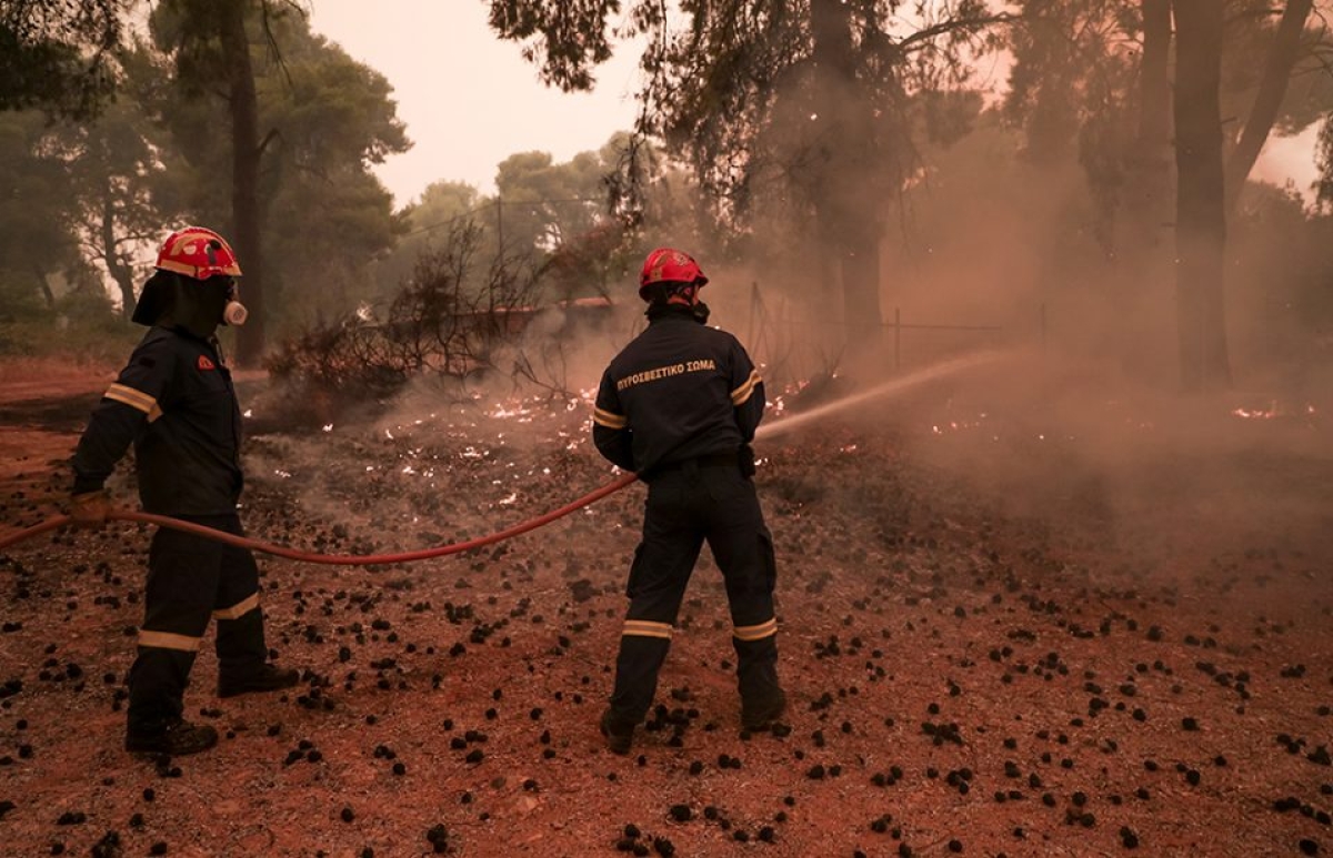 Προσλήψεις 650 δασοκομάντος στην Πυροσβεστική – Δείτε το ΦΕΚ
