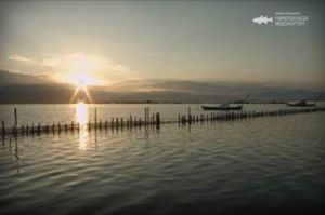 Η εκπομπή 360° στους ψαράδες της λιμνοθάλασσας Μεσολογγίου (video)