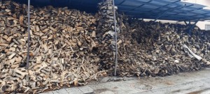 Αγρίνιο: «Σιγοκαίνε» τα καυσόξυλα – Σταθερές τιμές, χαμηλή η αγοραστική δύναμη