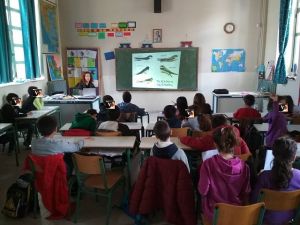 Αιτωλικό-Αγρίνιο: Μικροί μαθητές καλωσορίζουν την άνοιξη και τα χελιδόνια (φωτο)