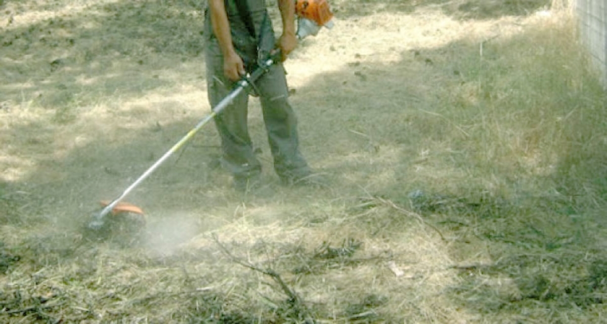 Δήμος Ι.Π. Μεσολογγίου: Ανακοίνωση σχετικά με τον καθαρισμό οικοπέδων εντός οικισμών από ξερά χόρτα και εύφλεκτα υλικά