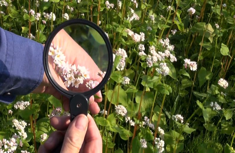 Εγκρίθηκαν τα αποτελέσματα αξιολόγησης 3.657 αιτήσεων γεωργικών συμβούλων