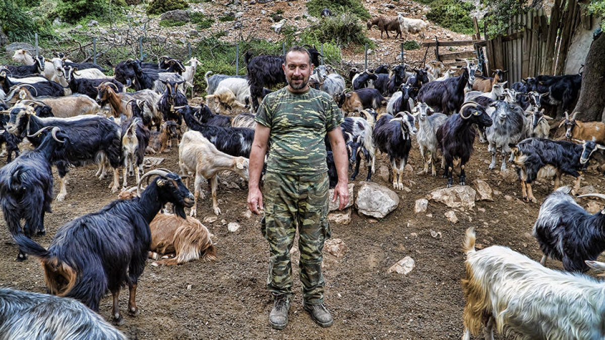 Σακαρέτσι | Η ζωή του κτηνοτρόφου Παναγιώτη στο χωριό