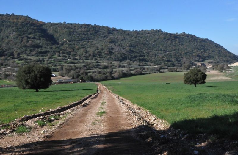 Παράταση στα Βιολογικά μέχρι 28/2