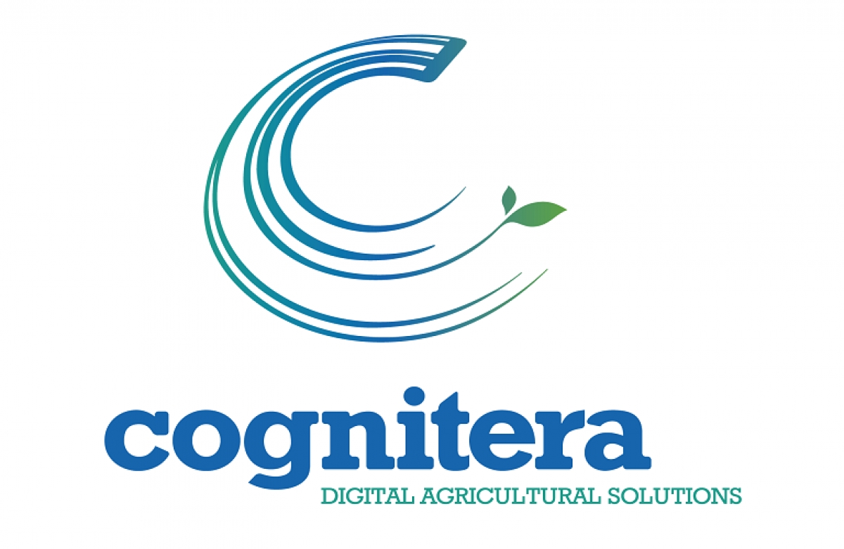 Cognitera: να σπάσει η αλυσίδα της στασιμότητας