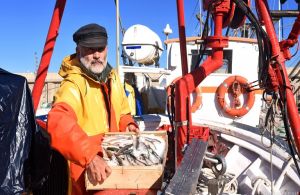 Στήριξη της παράκτιας Αλιείας με 15 εκατ. ευρώ - Ξεκίνησε η υποβολή αιτήσεων