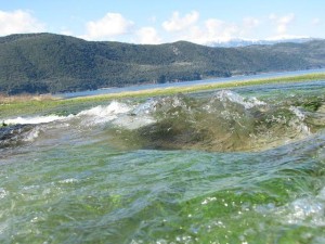 Μοναδικό φυσικό φαινόμενο στη Λίμνη Αμβρακία: «Έσπασε» ο ποταμός Ρίβιος
