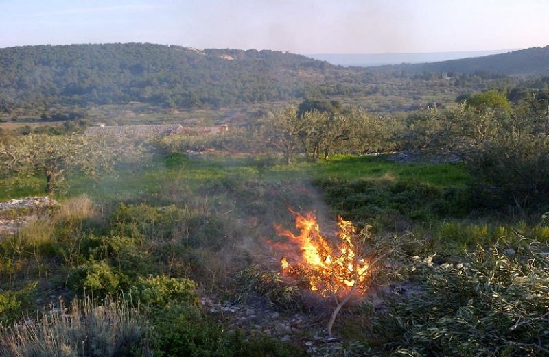 Προστατεύουμε τις καλλιέργειες, το περιβάλλον και το εισόδημά μας