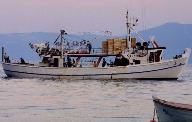 Ξεκινά η υποβολή δελτίων παραγωγής αλιευμάτων