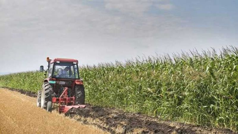 Απαλλάσσονται οι αγρότες από το τέλος επιτηδεύματος για το φορολογικό έτος 2019