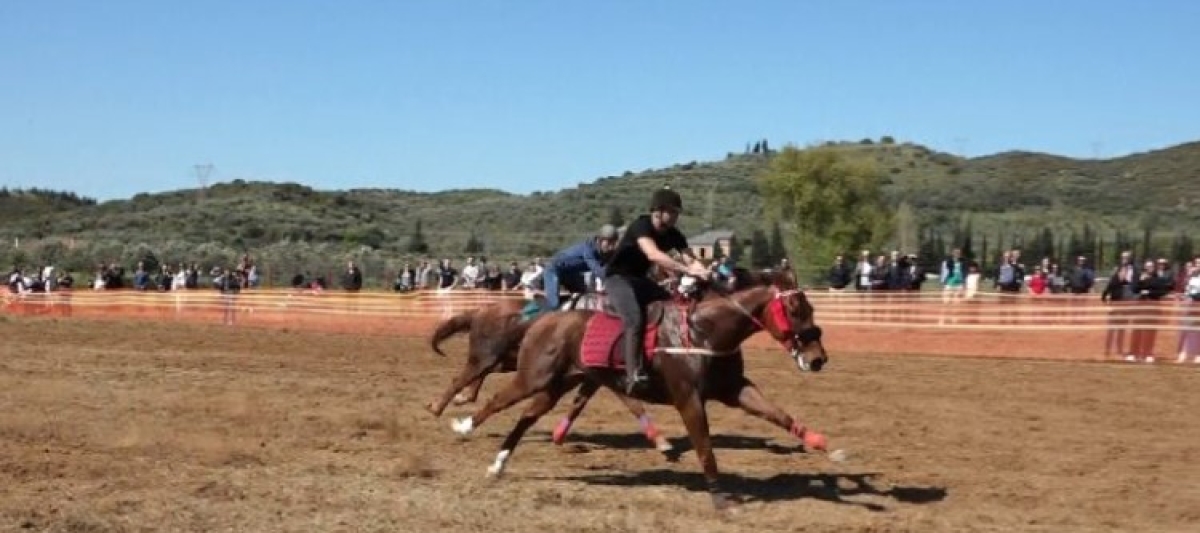 Εντυπωσίασαν οι ιπποδρομίες στον Άγιο Γεώργιο Μεσολογγίου