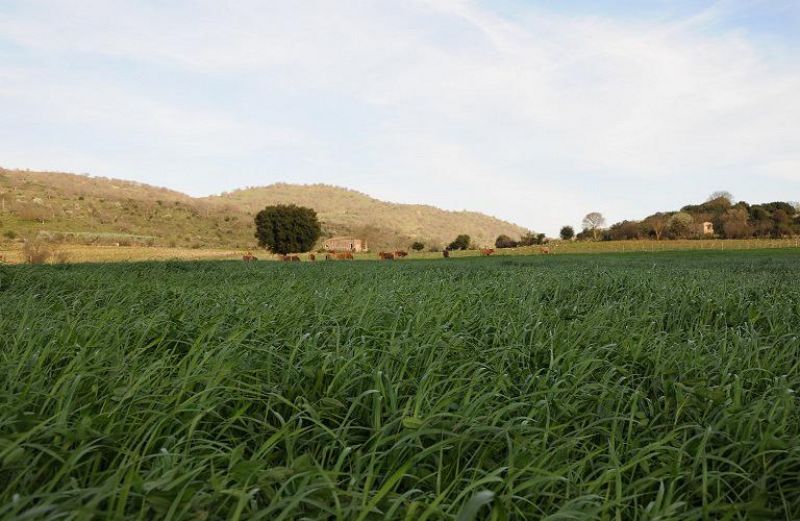 Σύσκεψη για την εύρυθμη λειτουργία των Διεπαγγελματικών Οργανώσεων