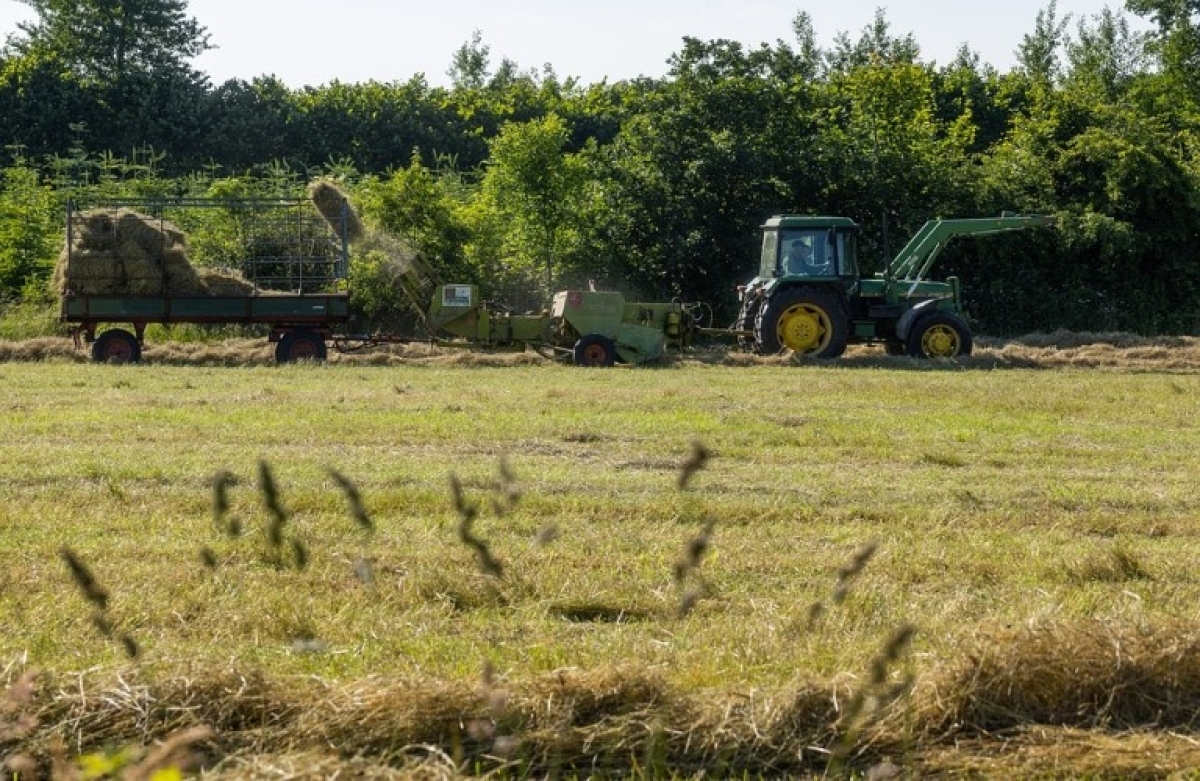 Κάλεσμα των αγροτών και των κτηνοτρόφων σε κοινό αγώνα