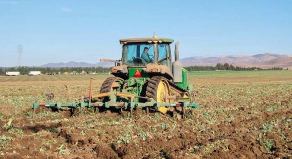 Γιατί εξαιρέθηκαν χιλιάδες αγροτεμάχια από την προκαταβολή της βασικής ενίσχυσης