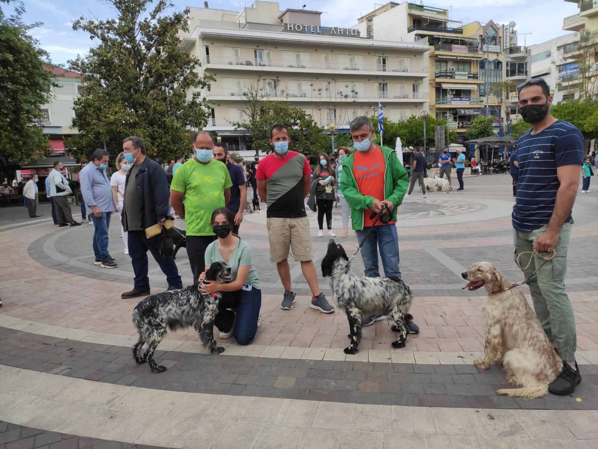 «Όχι στη στείρωση των δεσποζόμενων σκύλων» είπαν οι κυνόφιλοι του Αγρινίου (φωτο)