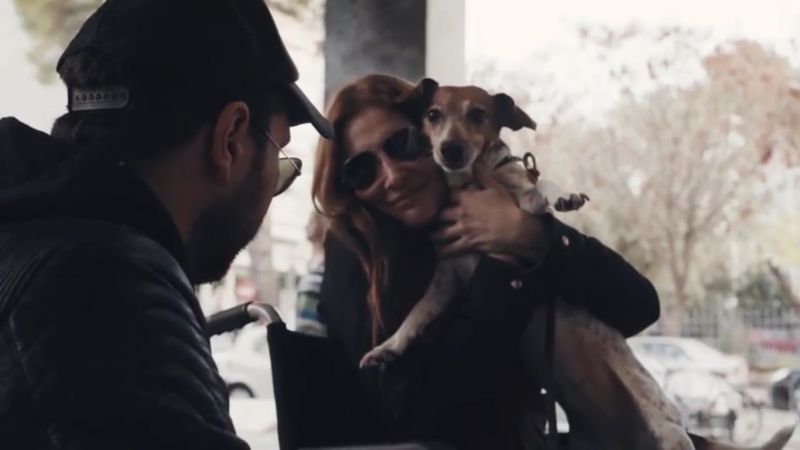 Παγκόσμια Ημέρα Αναπηρίας - Σκύλοι Βοηθοί (video)