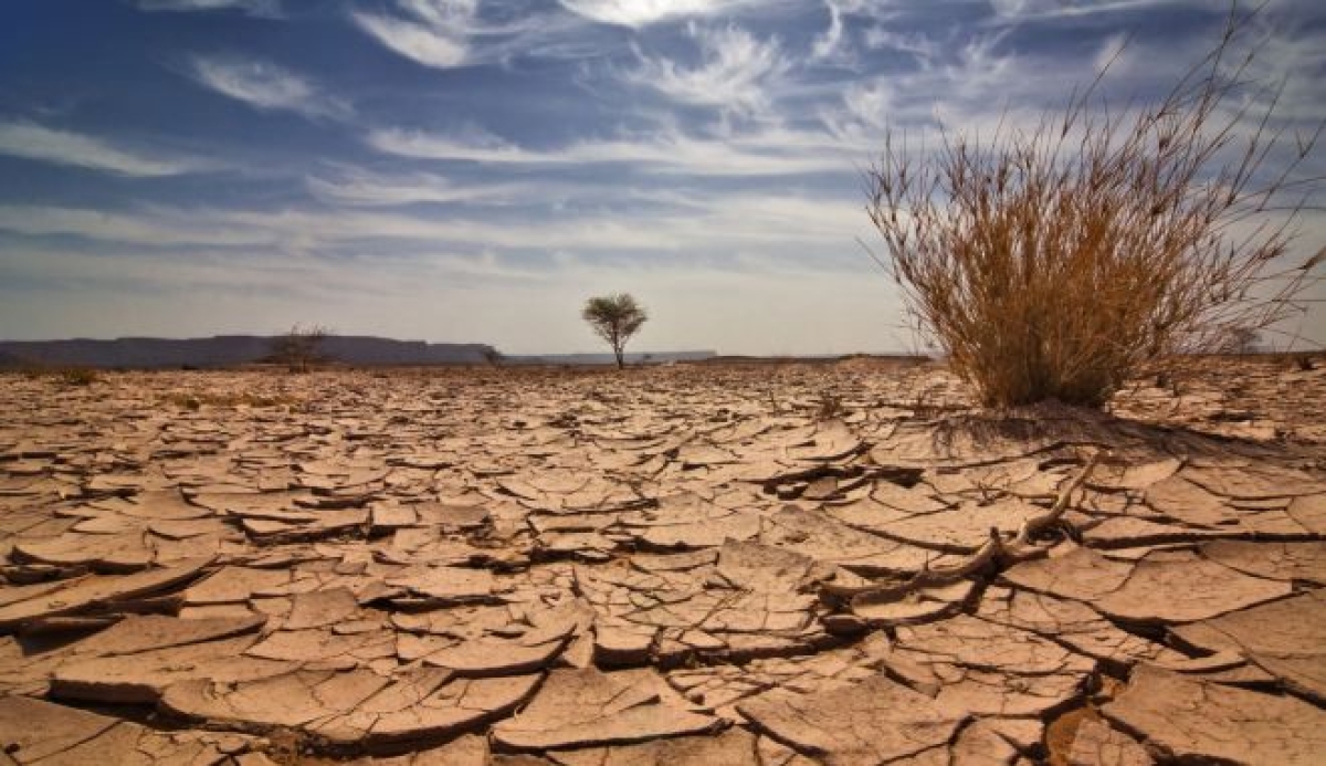 “Καμπανάκι” για την αύξηση της ξηρασίας στην Ελλάδα – Tι ισχύει στην Δυτική Πελοπόννησο