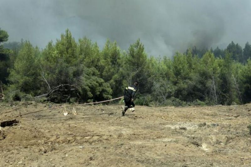 ΟΑΕΔ: Οριστικά αποτελέσματα για τις 5.066 θέσεις δασοπροστασίας