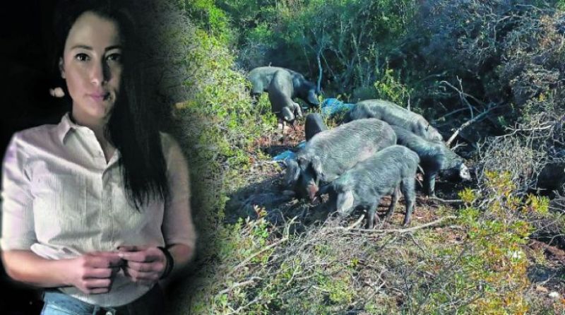 Η 27χρονη Μαρία Λαφιωτάκη από το Αγρίνιο που εκτρέφει μαύρους χοίρους
