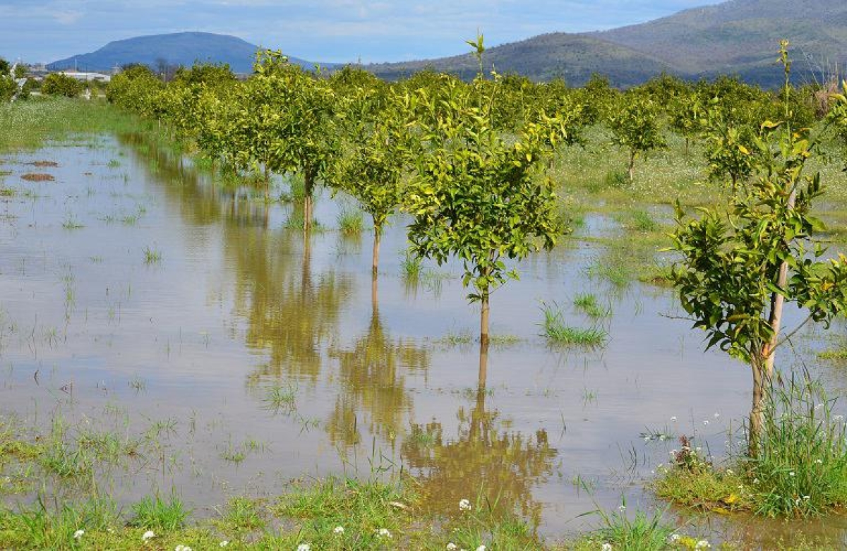 Τα αποτελέσματα της δράσης 5.1.1